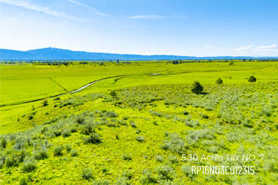 TBD FINLANDIA Tax Lot 6&7 12.12 Acres, McCall, ID