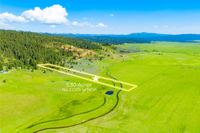 TBD FINLANDIA Tax Lot 6&7 12.12 Acres, McCall, ID