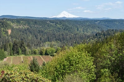 7428 SE Cottrell Rd, Gresham, OR