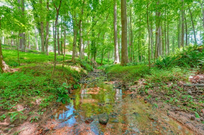 1369 Kelly Mill Trace, Cumming, GA