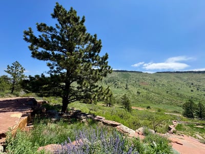 2901 Stone Canyon, Longmont, CO