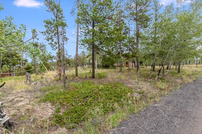 10444 Crystal Drive, Morrison, CO