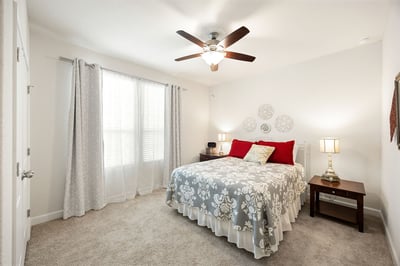 Bright and inviting bedroom featuring a ceiling fan, cozy decor, and ample natural light.