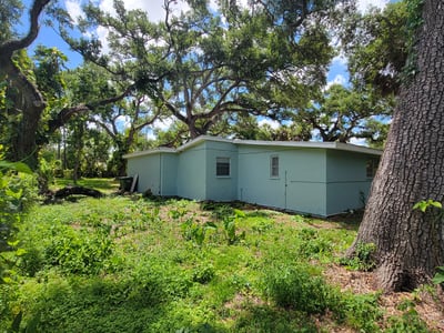 Spacious property with abundant outdoor space and mature trees, perfect for creativity and potential renovations.