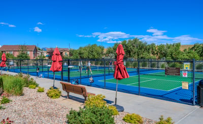 12556 W Montane Drive, Broomfield, CO