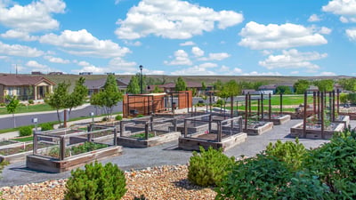 12556 W Montane Drive, Broomfield, CO