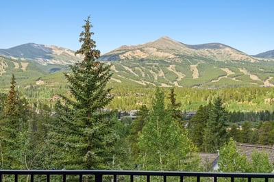212 Wellington Road, Breckenridge, CO