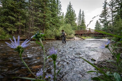 108 Ginger Quill Lane, Breckenridge, CO