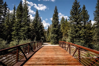 108 Ginger Quill Lane, Breckenridge, CO