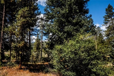 108 Ginger Quill Lane, Breckenridge, CO
