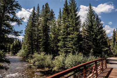 108 Ginger Quill Lane, Breckenridge, CO