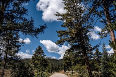 108 Ginger Quill Lane, Breckenridge, CO
