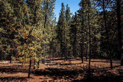 108 Ginger Quill Lane, Breckenridge, CO