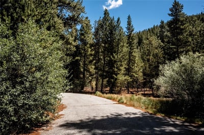 108 Ginger Quill Lane, Breckenridge, CO