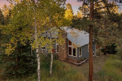 28696 Little Big Horn Dr, Evergreen, CO