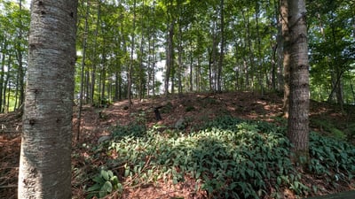 213 Woodland Drive, Huntsville, ON