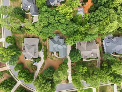 535 mountain laurel, Chapel Hill, NC