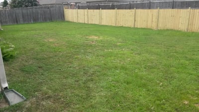 Spacious backyard with ample green space, perfect for gardening, play, or outdoor gatherings.