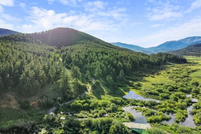 Scenic lot showcasing lush greenery and flowing water, perfect for building a dream retreat in nature.