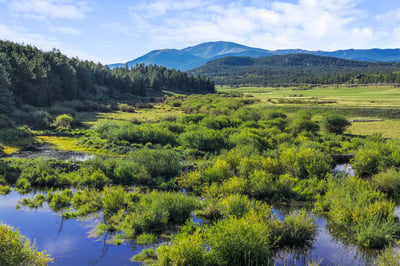Scenic property featuring expansive wetlands and lush greenery, framed by stunning mountain views and open skies.