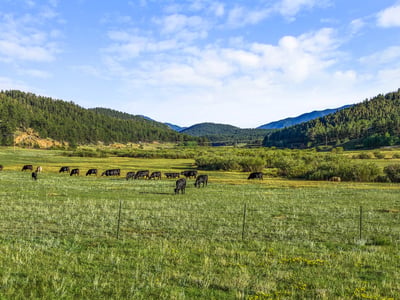 Spacious land ideal for ranching or outdoor activities, surrounded by stunning mountain vistas and open pastures.