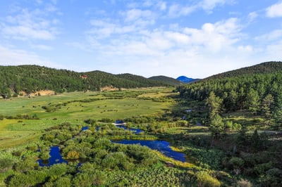 Expansive natural landscape featuring lush greenery and gentle water features, perfect for outdoor enthusiasts and nature lovers.