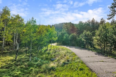 Picturesque pathway meanders through lush greenery, offering a peaceful retreat amidst nature's beauty.