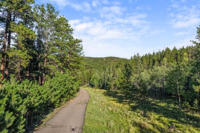 Scenic wooded path surrounded by lush greenery, perfect for nature enthusiasts seeking peaceful outdoor exploration.