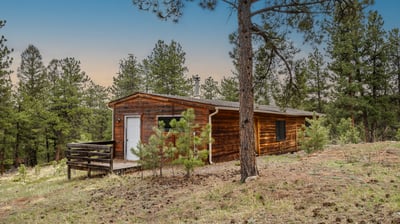 Cozy cabin nestled among tall pines, offering a peaceful retreat with ample outdoor space.