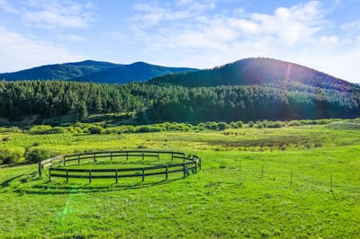 Sprawling countryside property featuring lush greenery, scenic mountain views, and ample space for outdoor activities.