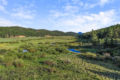 Explore this expansive land offering diverse landscapes, vibrant greenery, and serene water features, perfect for your dream escape.