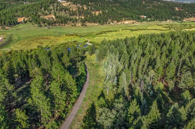 Discover a scenic property surrounded by lush trees and vast green landscapes, perfect for nature enthusiasts.
