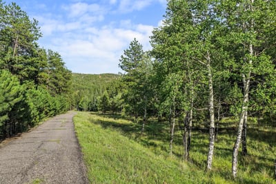 Discover a peaceful path surrounded by lush greenery, perfect for outdoor activities and relaxation.