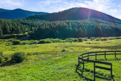 Spacious land surrounded by lush greenery and mountains, perfect for creating your dream retreat or home.