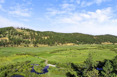 Expansive landscape featuring lush greenery, winding waterways, and a panoramic view of rolling hills.