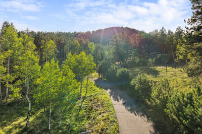Explore this beautiful wooded lot, offering a peaceful pathway and vibrant natural surroundings for your dream home.