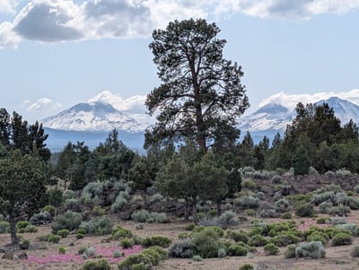 17740 Ox Spur Ct, Bend, OR