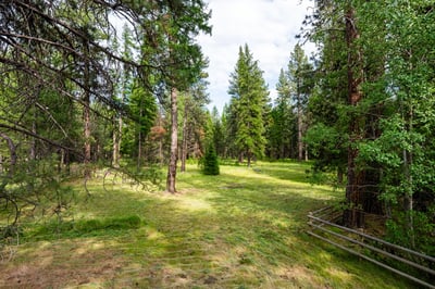 26359 SW Tamarack Lane, Camp Sherman, OR