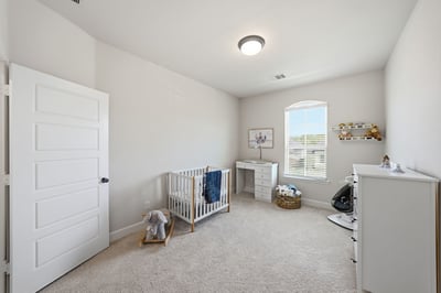 2229 Plumeria Lane, Celina, TX