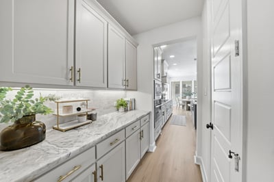 2229 Plumeria Lane, Celina, TX