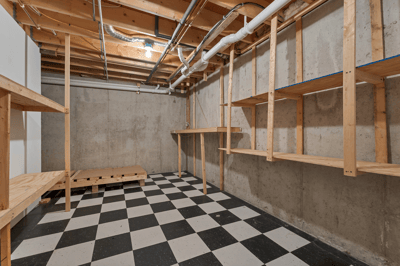 Storage in Basement