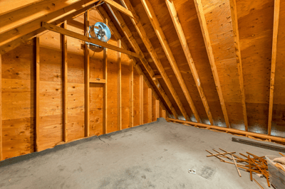Unfinished Attic Space through Walk In