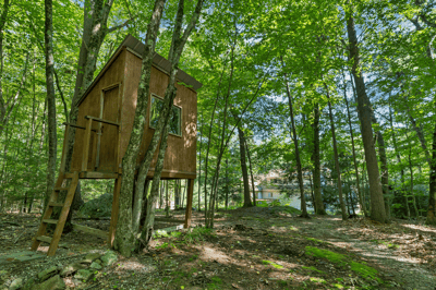 Tree House