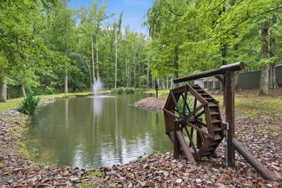 Beautiful pond area