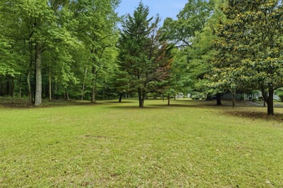 Spacious, open lot surrounded by mature trees, perfect for building your dream home in a peaceful setting.