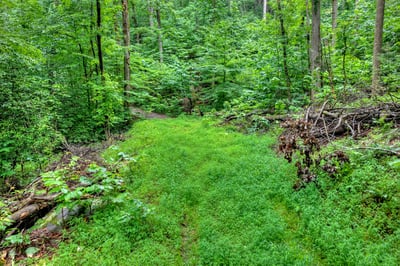 1138 Douglas Mountain Trail, Ellijay, GA