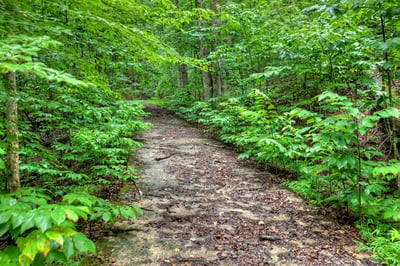 1138 Douglas Mountain Trail, Ellijay, GA