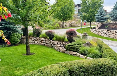 Lush landscaping featuring diverse shrubs and trees, offering a vibrant outdoor space in a peaceful neighborhood.