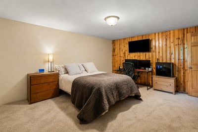 Lower level bedroom