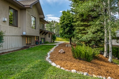 Inviting landscape with a curved path, lush greenery, and mature trees in a tranquil setting.